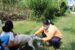 โครงการควบคุมและป้องกันการติดต่อโรคพิษสุนัขบ้า ประจำปีงบประ